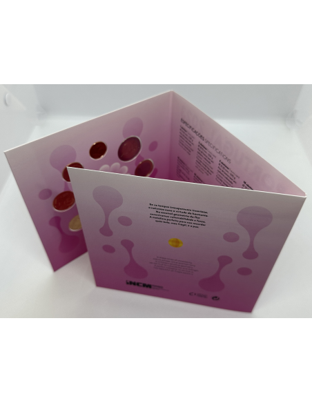 Belgique - Coffret BU - Les Euros de l'Année 2023 - HARMONIE