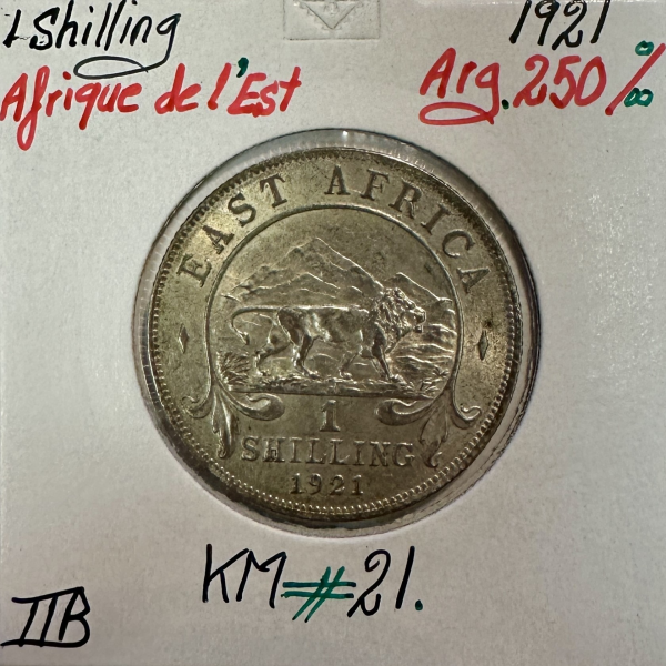 AFRIQUE DE L'EST - 1 Shilling 1921 -...