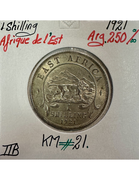 AFRIQUE DE L'EST - 1 Shilling 1921 - Monnaie en Argent // Qualité : TTB
