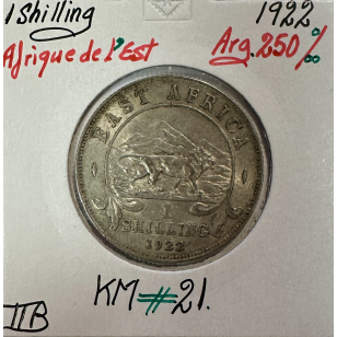 AFRIQUE DE L'EST - 1 Shilling 1922 - Monnaie en Argent //...